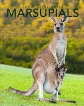 Marsupials