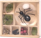 Kikkerland – Huckleberry Bug Box – Insecten doosje – Vergroten – Natuur - Buitenspeelgoed