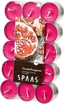 Spaas Citronella Waxlinelichtjes - Dark Fuchsia - 30 Stuks