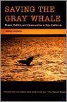 Saving the Gray Whale