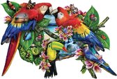 Legpuzzel - Contourpuzzel - 1000 stukjes - Parrots in Paradise - SunsOut
