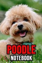 Poodle Notebook