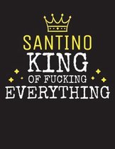 SANTINO - King Of Fucking Everything