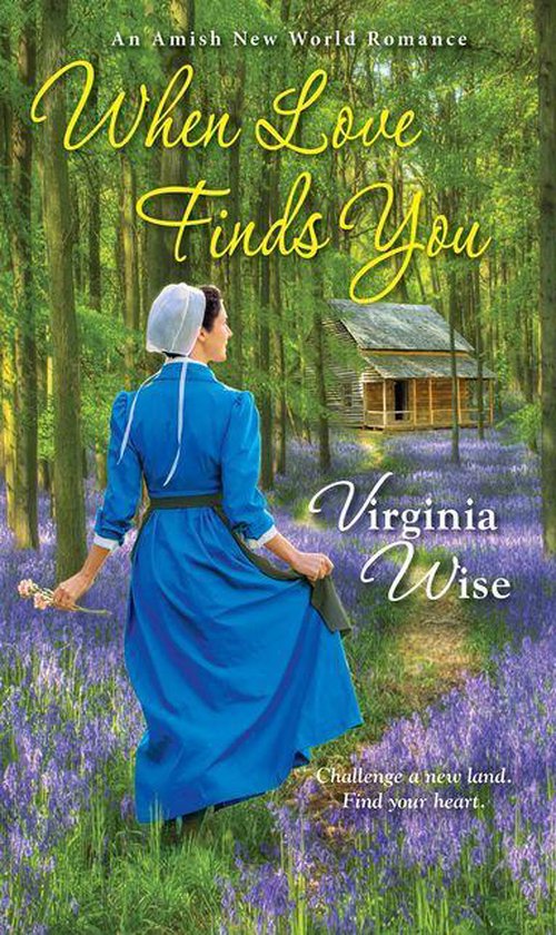 Amish New World 2 - When Love Finds You - cover