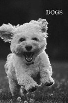 Dogs