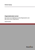 Organisationales Lernen