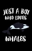 Just A Boy Who Loves Whales