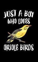 Just A Boy Who Loves Oriole Birds