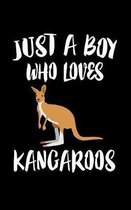 Just A Boy Who Loves Kangaroos