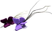 Tabby Tijger Vlinder - Kattenspeelgoed - Vilt - 2 stuks - Willekeurige kleuren