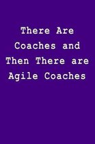 There Are Coaches and Then There Are Agile Coaches
