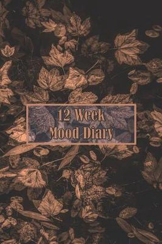 12 Week Mood Diary - cover