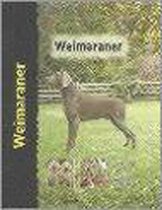Weimaraner - hond - boek
