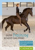 Gesundheit und Haltung - Gutes Training schützt das Pferd