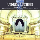 Roberto Loreggian Organ - Luchesi: Opere Per Organo (CD)