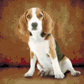 DP® Diamond Painting pakket volwassenen - Afbeelding: Zittende Hond - 40 x 40 cm volledige bedekking, vierkante steentjes - 100% Nederlandse productie! - Cat.: Dieren - Honden