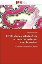 Effets d'une cyclodextrine au sein de systèmes membranaires