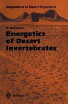 Energetics of Desert Invertebrates