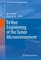 Cancer Drug Discovery and Development - Ex Vivo Engineering of the Tumor Microenvironment