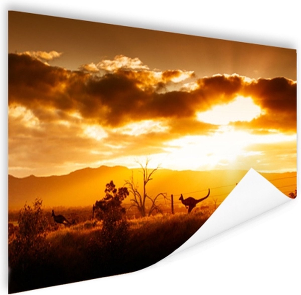 Poster Kangoeroe - Zon - Silhouet - 150x75 cm