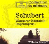 Wanderer - Fantasie