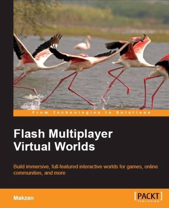 Flash Multiplayer Virtual Worlds - cover