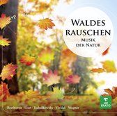 Waldesrauschen - Music Of Nature