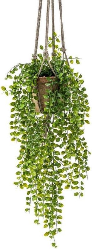Kunst hangplant Ficus in pot met | bol.com
