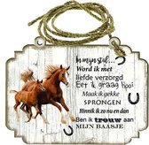 Spreukenbordje Paarden: Bruin paard met veulen