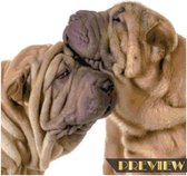 DP® Diamond Painting pakket volwassenen - Afbeelding: Liefde Honden - 60 x 60 cm volledige bedekking, vierkante steentjes - 100% Nederlandse productie! - Cat.: Dieren - Honden