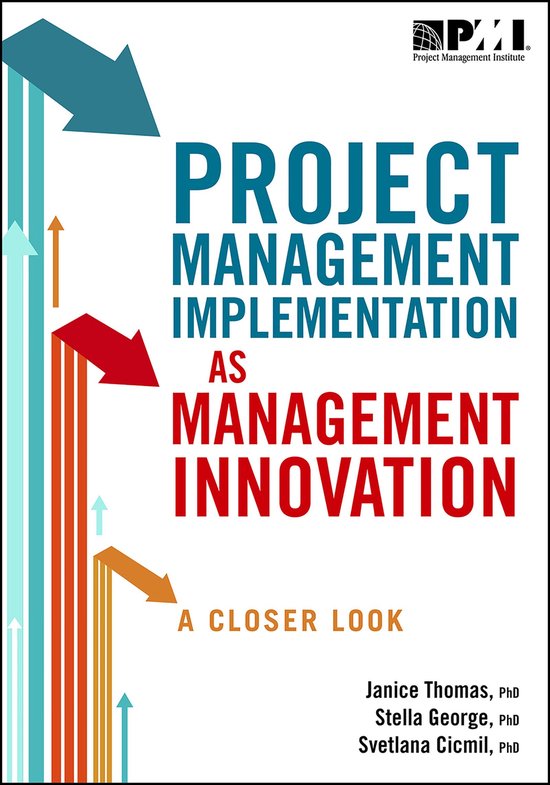 Project Management Implementation as Management Innovation - cover