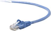 UTP Category 6 Rigid Network Cable Belkin A3L793BT05MBLHS 5m