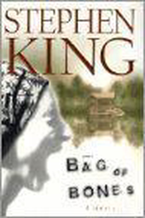 Bag of Bones - cover