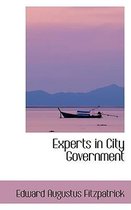 Experts in City Government