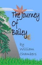 The Journey Of Bailey