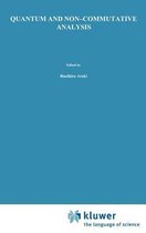 Quantum and Non-Commutative Analysis