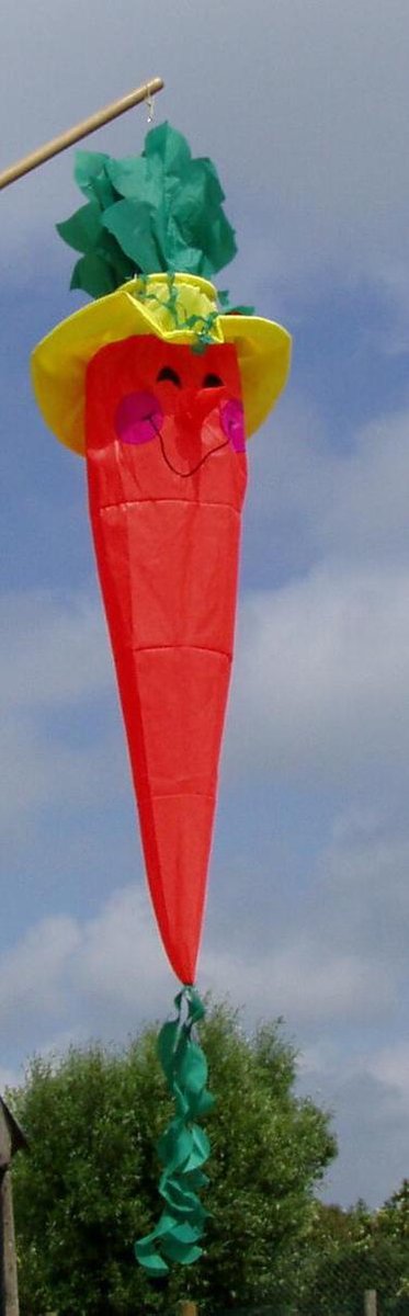 Didak Beach Windzak 3D Wortel - 130x45 cm