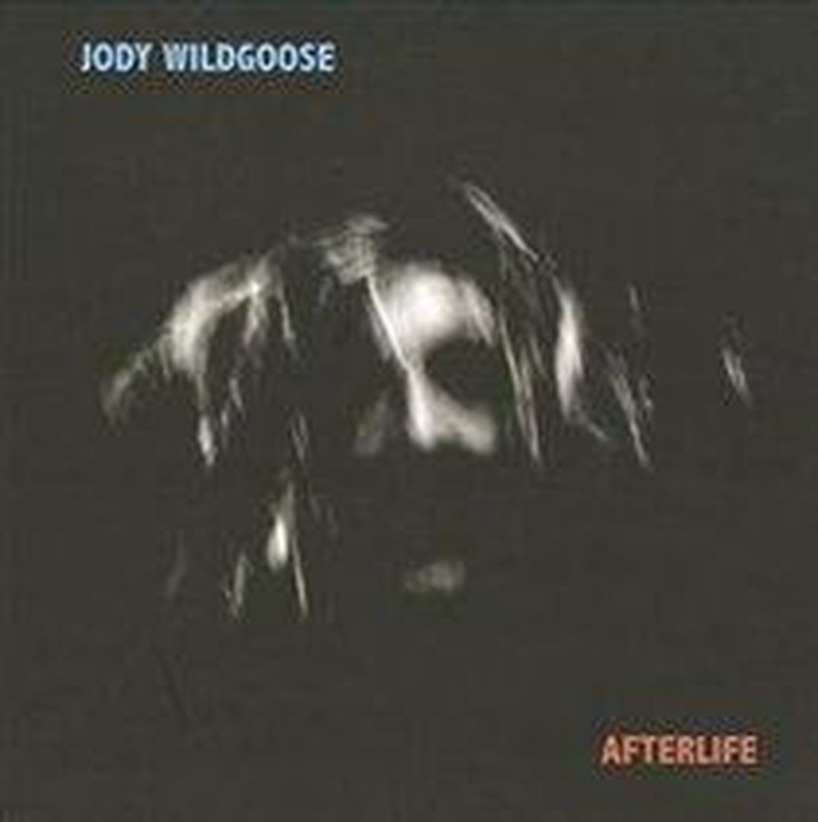 Jody Wildgoose - Afterlife