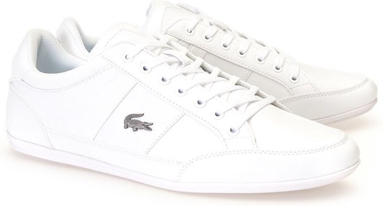 lacoste heren schoen