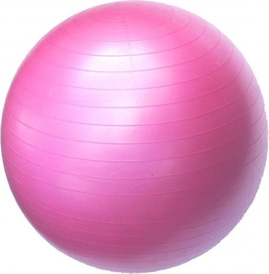 Yoga bal - Ø 65 cm - Roze | bol.com