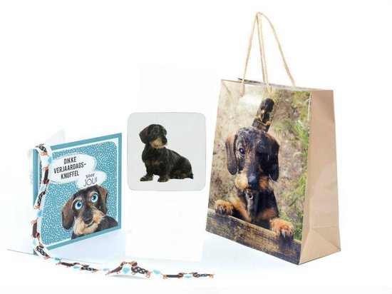 Coaster Teckel chien par 6-10 x 10 cm Mars & More thème animaux cadeaux  chiens cadeau | bol.com