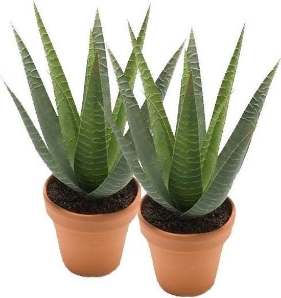 Shop Kunstplant Aloë Vera Groen - H 60cm - Kunststof sierpot - Mica Decorat Online - Plant New Day