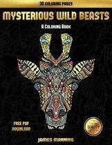 A Coloring Book (Mysterious Wild Beasts)