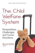 The Child Welfare System