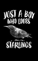 Just A Boy Who Loves Starlings