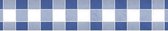 Blauw/witte ruiten papieren tafellaken/tafelkleed 1000 x 118 cm op rol - Blauw/witte ruitjes thema tafeldecoratie versieringen