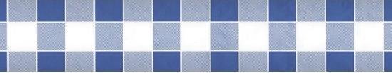 Blauw/witte ruiten papieren tafellaken/tafelkleed 1000 x 118 cm op rol - Blauw/witte ruitjes thema tafeldecoratie versieringen