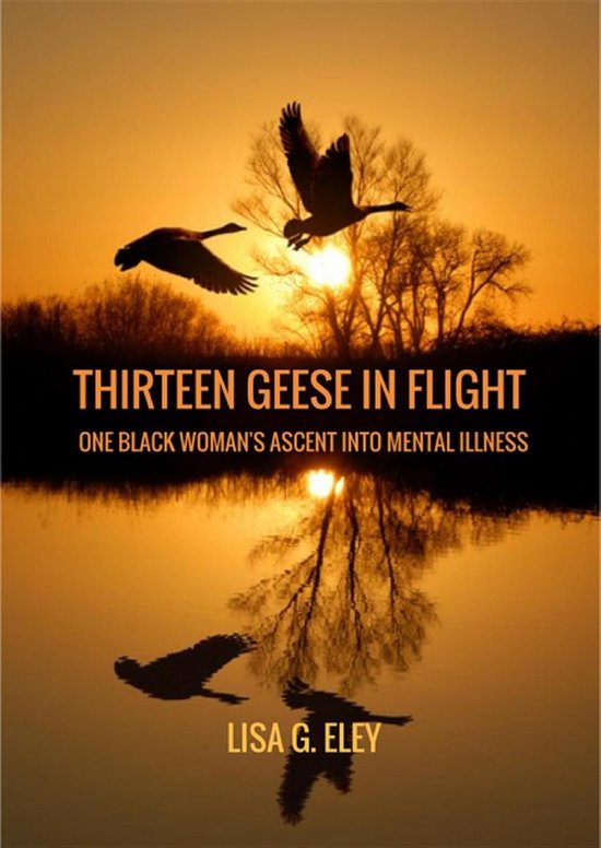 Thirteen Geese in Flight - cover