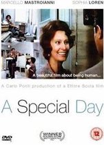 A Special Day