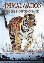 Tigers Fighting Back